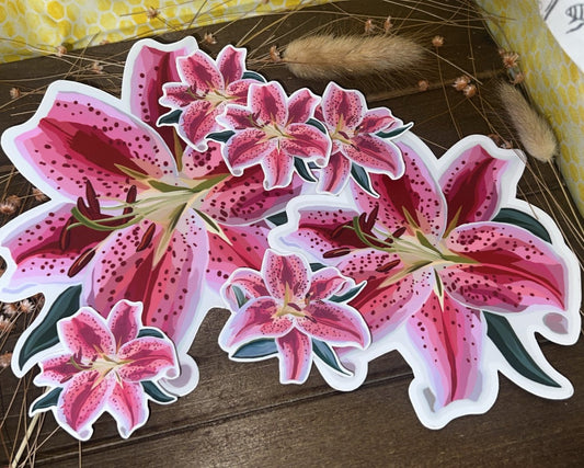 Bee&Blossom Stargazer Lily Sticker